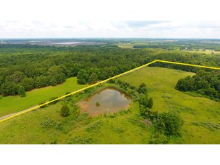 TRACT 39 - ILLINOIS LAND AUCTION - 4,810+/- ACRES OFFERED IN 85 TRACTS IN FRANKLIN, WILLIAMSON, HAMILTON & SALINE COUNTIES, ILLINOIS